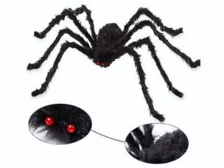 Obrázek z Pavouk 50cm 